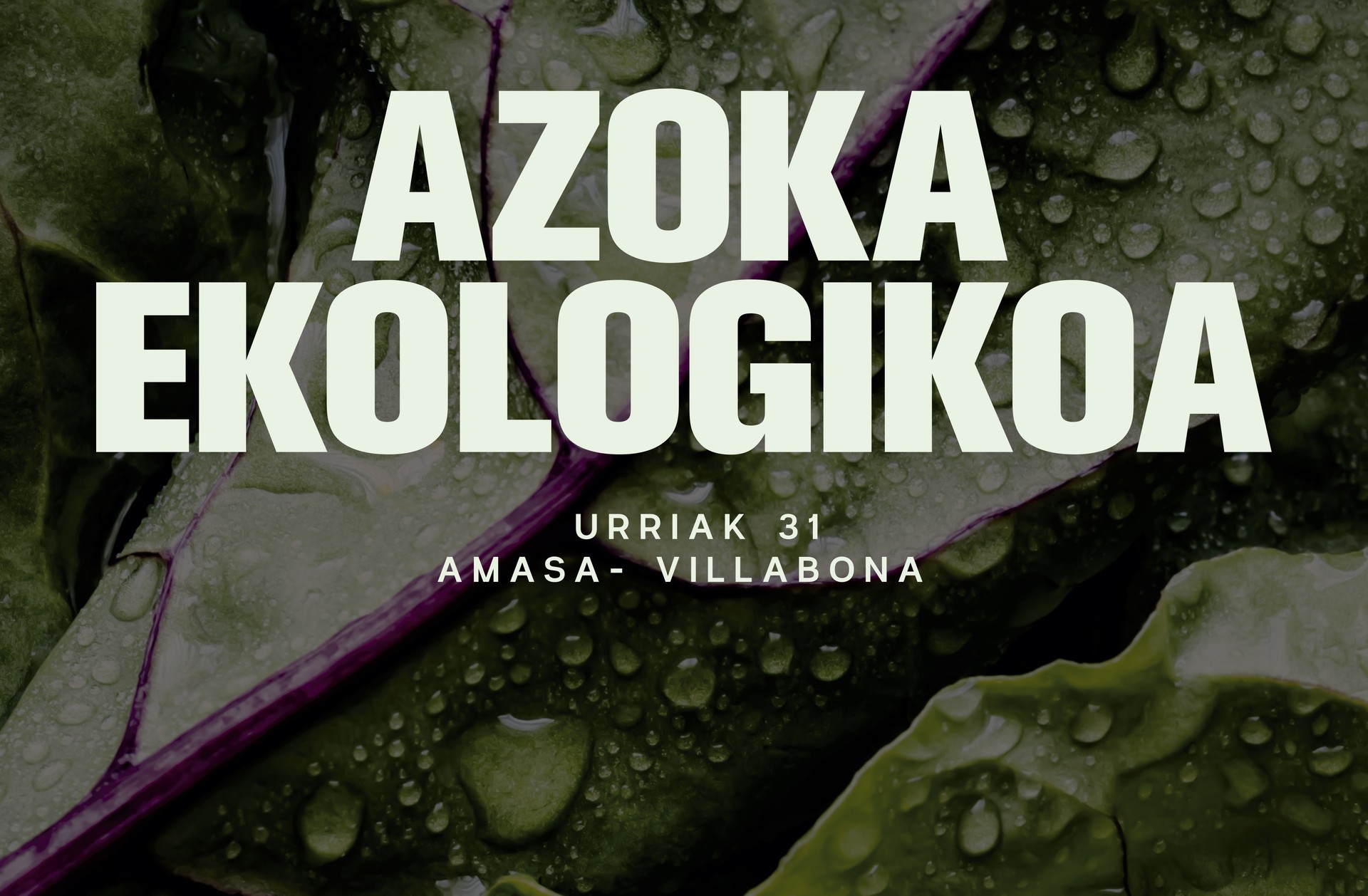 Azoka ekologikoa egingo dute igandean