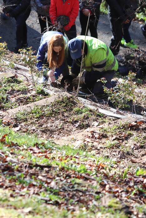 Tolosako ikasleek zuhaitzak  20 1520435544551