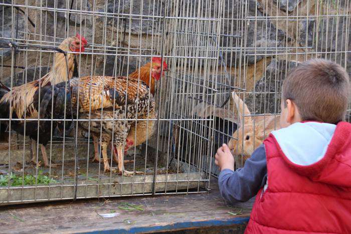 Bertako produktuak nagusi 20 1477233196329