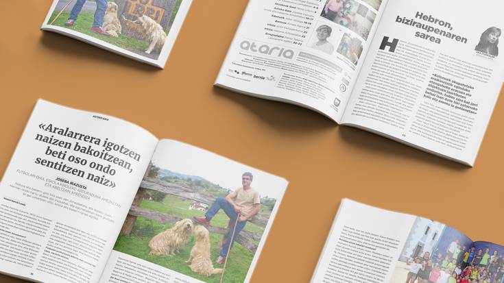 Zer dakar biharkoak?