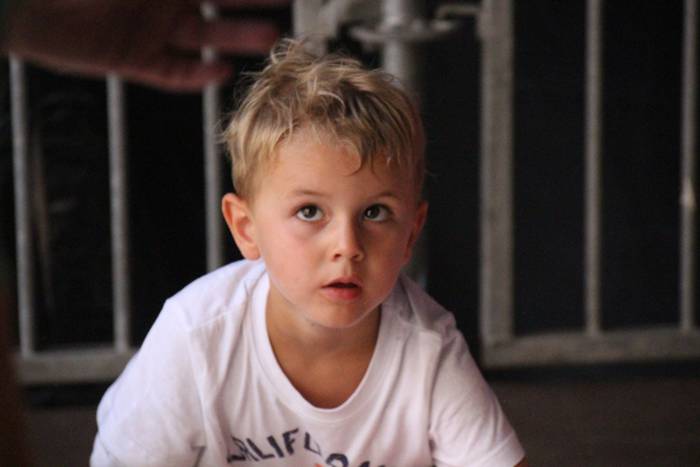 Zirkuaren aparretan murgilduta 38 1473012677471