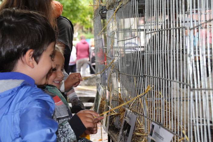 Ibarra, azoka eta piparra 66 1474219117382