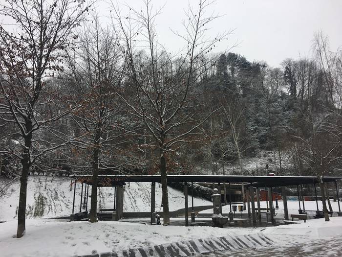 Argazki galeria: Tolosaldea, 55 1519810002938