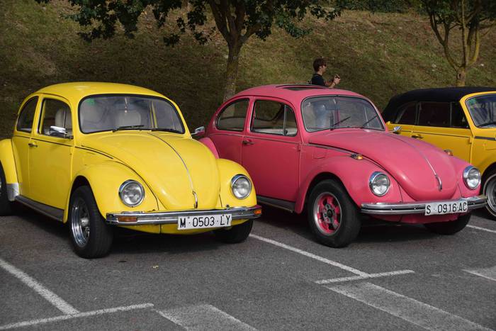 Motor eta errugbi zaleen bil 32 1535803770505