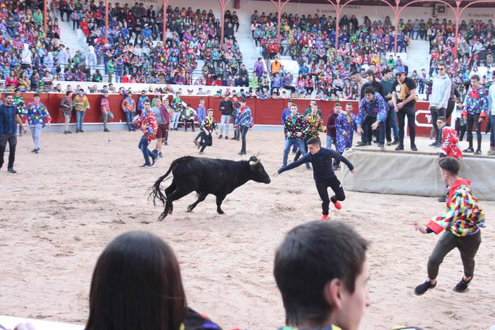 Inauteriak 2020, zezenak Ost 8 1582222543668