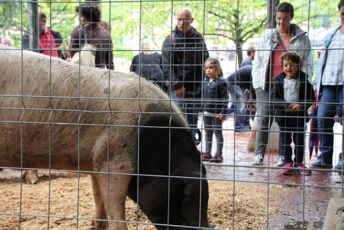 Ibarra, azoka eta piparra 69 1474219141199