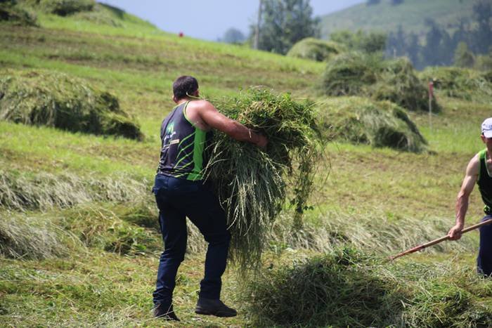 Jesus Mari Ormaetxea, Urki,  13 1499608083296