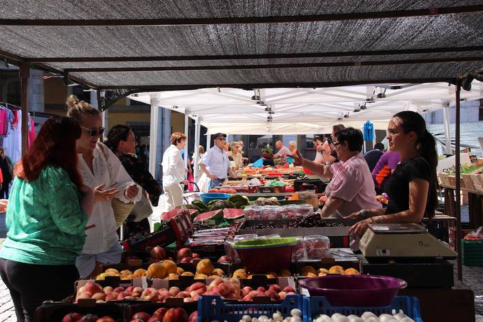 tolosako zokara bisita gidat 17 1657363889667