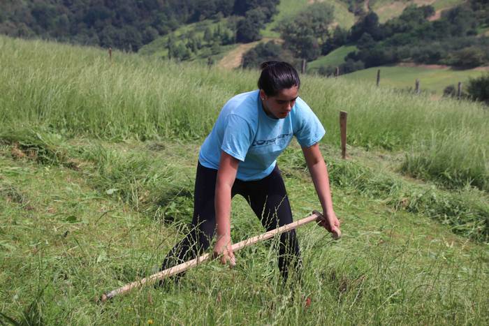 Erabaki dira Euskal Herriko  22 1532869970186