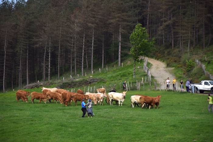 BERASTEG LARRE IREKIERA 2022 15 1652525077799