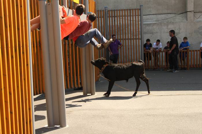 Hernialdeko Jaiak 2017 33 1502714688345