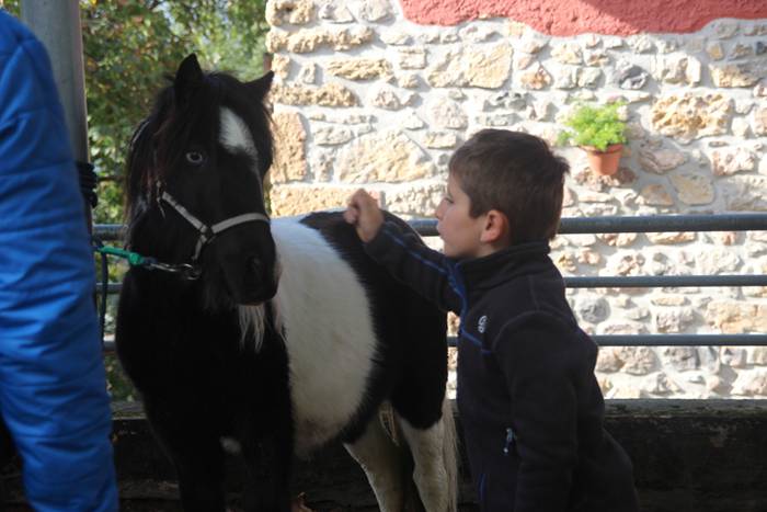 Herritarren salerosketarako  29 1509290434445