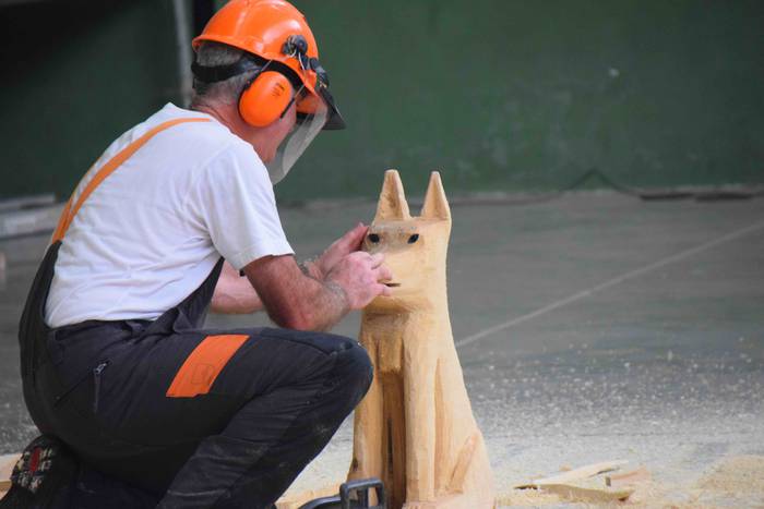 Larraul san bartolome eguna  45 1535188369758