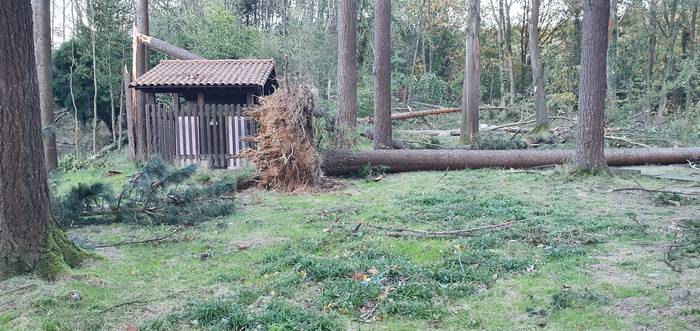 Errepidek 3 1603266689368