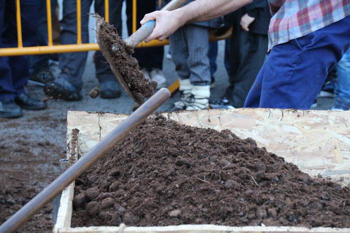 Gazteak nagusi, ximaurra gar 26 1507490553545