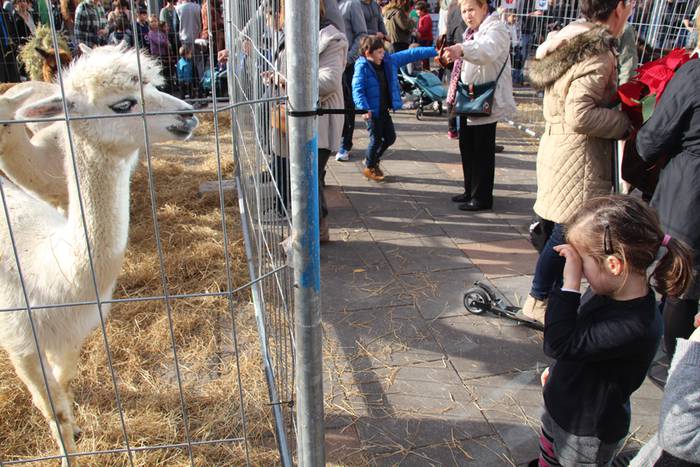 Tolosa Gabonetako Azoka berezia 2015 24 1450532621915