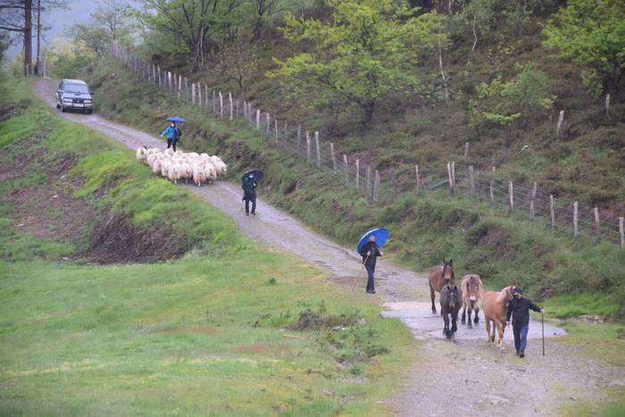 Larre irekiera Berastegi 202 4 1621072163670