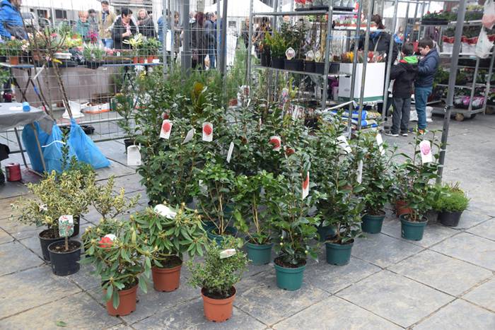 Zuhaitz Azoka, Tolosa, 2017 9 1486819615537