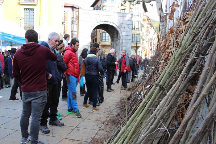 Tolosako Lore eta Landare Az 22 1549717206989