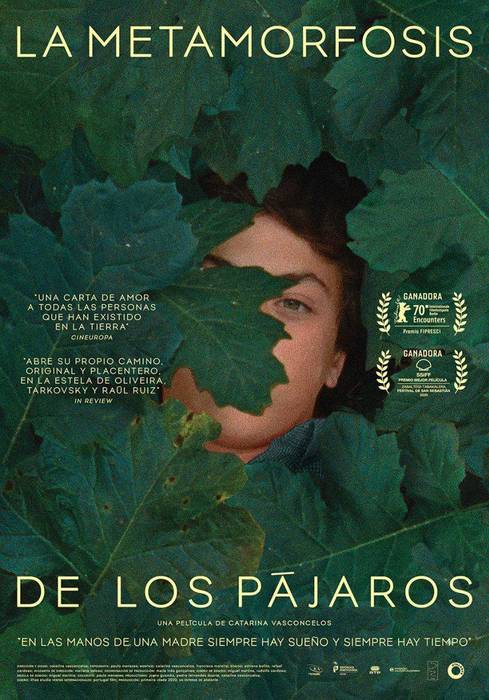 La metamorfosis de los pajaros