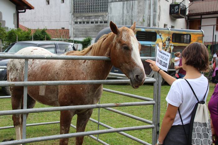 Hutsik egiten ez duen azoka berezia 24 1474813230930