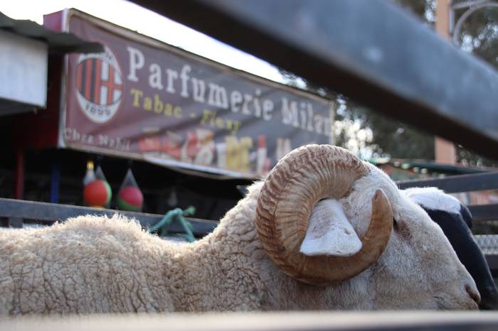 Tolosaldetik Saharako errefu 34 1638802289635