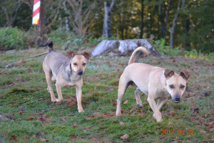 IV. Mendiz Mendi Etxera meni 24 1537804942821