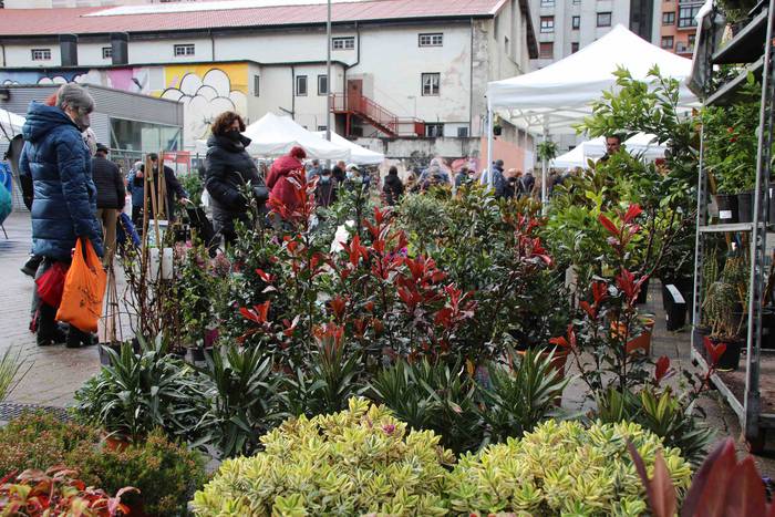 Zuhaitz azoka 2022 18 1645283029587