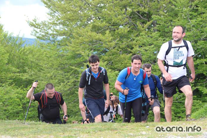 San Migeleko ataria, XIV Orduak 178 1464544333909