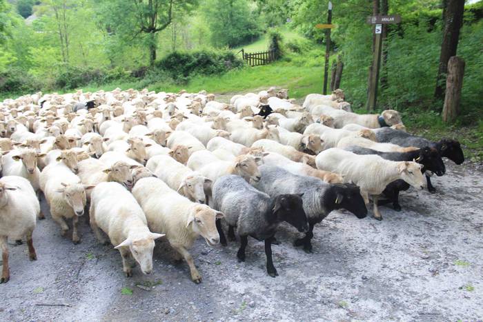 Larre irekiera ekitaldi bere 46 1588336799090