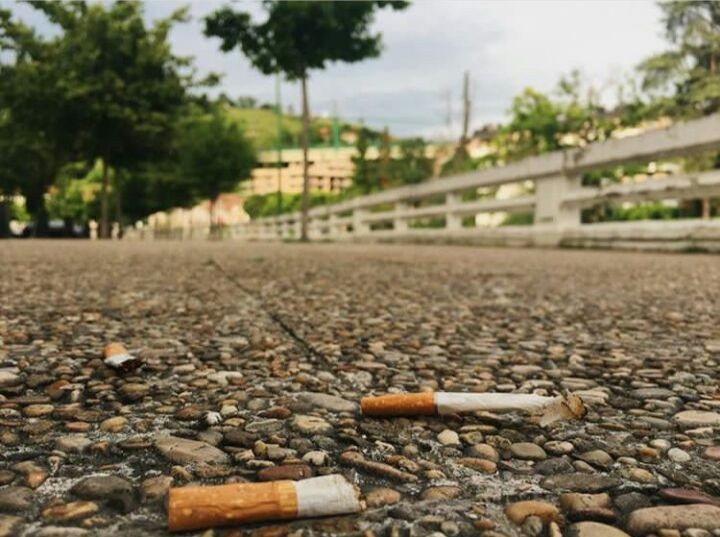 Zigarrokin bilketa egingo dute, asteartean, Tolosan