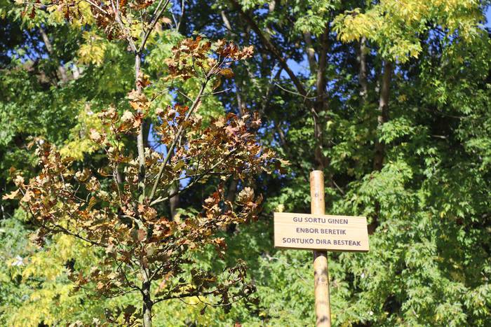 Festak ez du etenik San Este 46 1634470534250