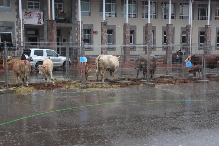 Geroz eta jendetsuagoa 31 1509896980409