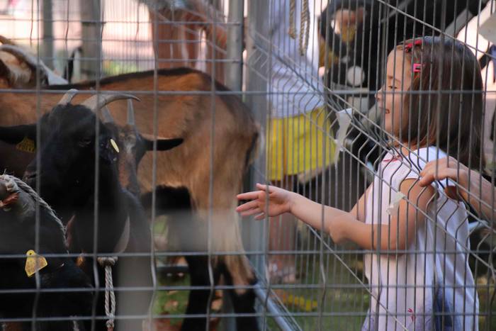 "Ibarra, Azoka eta Piparra" 30 1537102853095