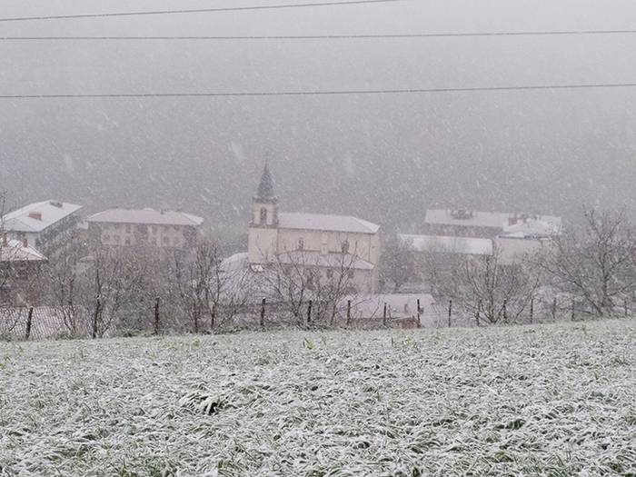 ELURRA 2017 AZAROA 12 1512123690798