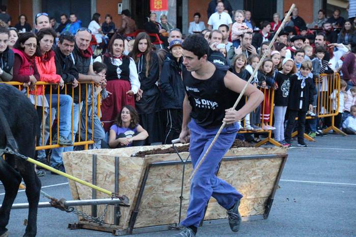 Gazteak nagusi, ximaurra gar 29 1507490577925