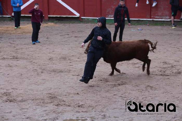 Zezen festarako gogoz 15 1518113793035