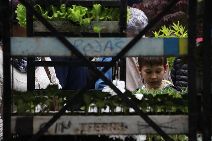 Eta liliek Tolosa ere amets 39 1495290430082