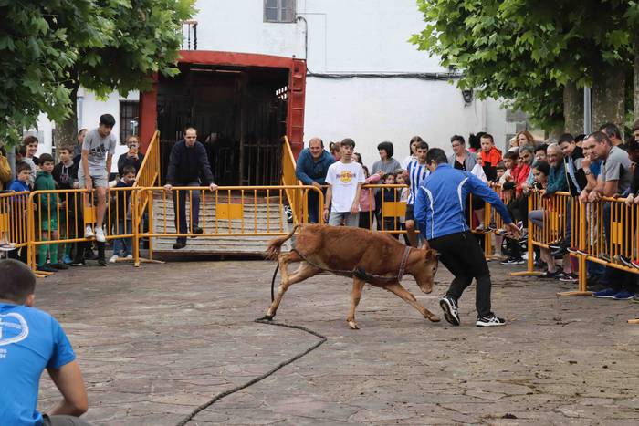 Zezen txikien aurretik 19 1656263618908