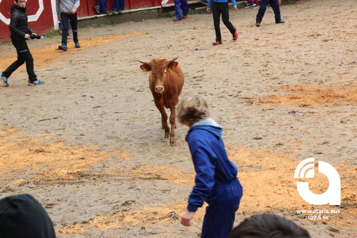 Zinbuluka ta zanbuluka 18 1487957684637