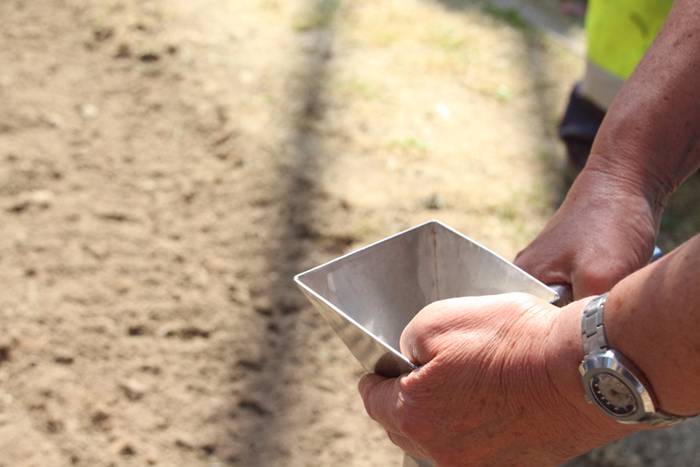 Tolosako babarrunaren ereitea 2016 18 1465470289842