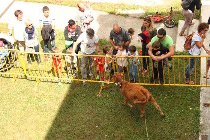 Ikaztegietako Jaiak 2017, um 4 1502457171266