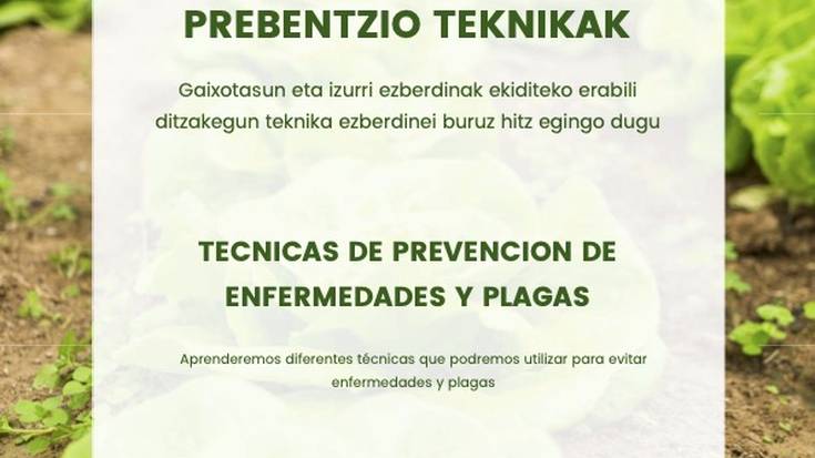 Furgobaratza