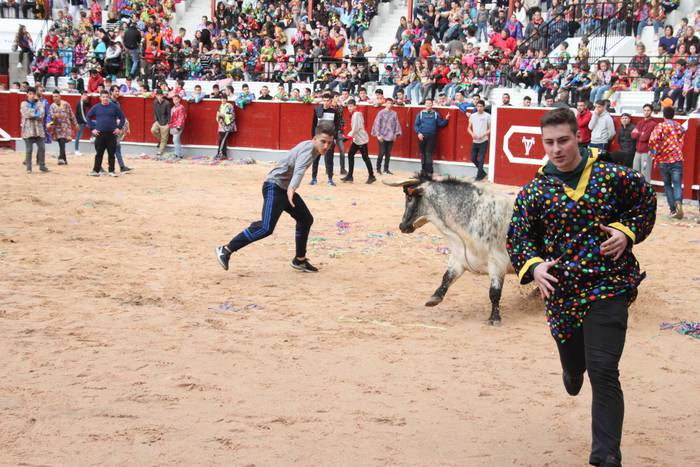 Inauteriak 2020, zezenak Ost 31 1582222556914