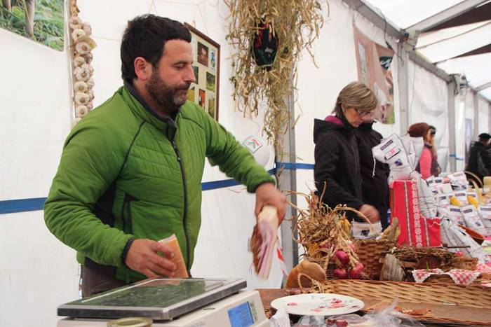 Tolosak Babarruna 9 1448111665566