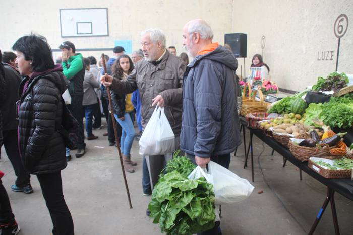 Inork ez du galdu nahi izan 7 1509293498129