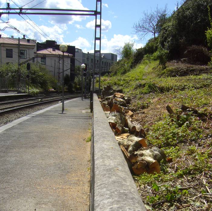 Tolosa erdiko tren geltokian zortzi bananondo moztu izana salatu du Eguzkik