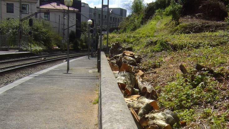 Tolosa erdiko tren geltokian zortzi bananondo moztu izana salatu du Eguzkik