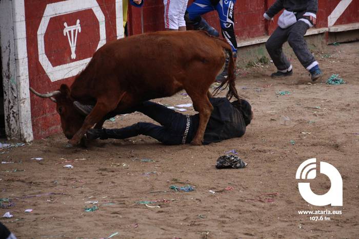 Zezenak adarrak okerrak ditu 101 1488277743585