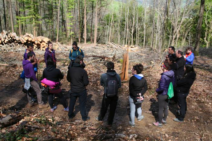 Basoari begira Anoetan 13 1554970860574